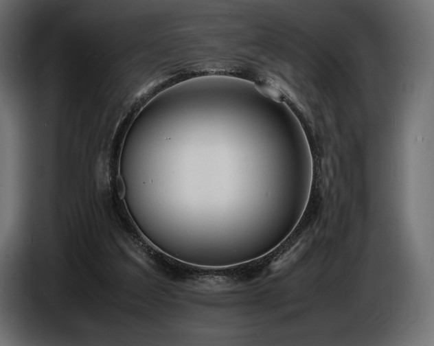 X0000086720203200704131052
