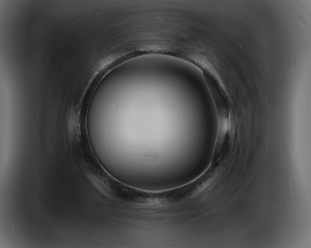 X0000086720204200704131052