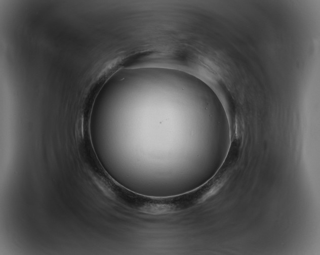 X0000086720205200704131052