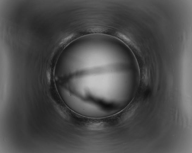X0000086720206200704131052