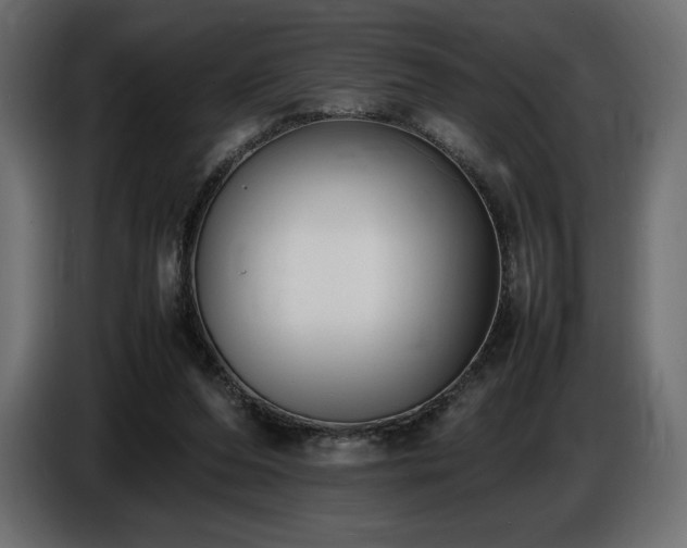 X0000086720208200704131051