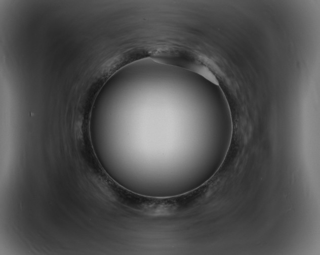 X0000086720209200704131051