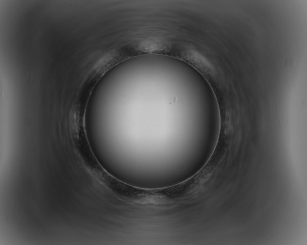 X0000086720210200704131051