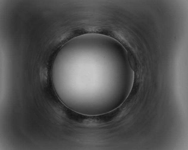 X0000086720211200704131051