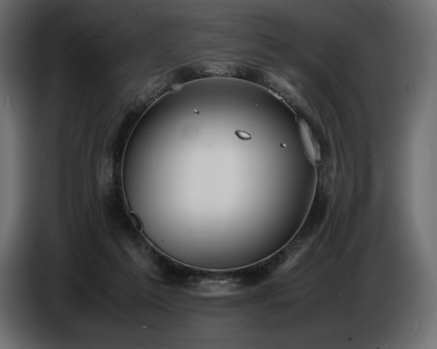 X0000086720213200704131051
