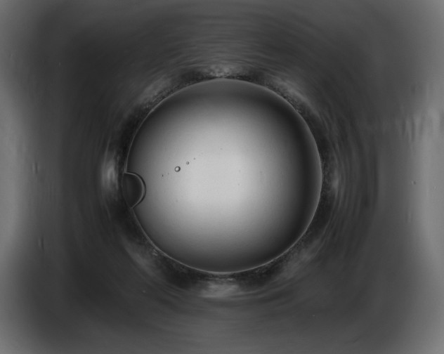 X0000086720214200704131051