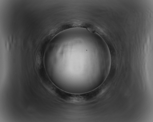 X0000086720215200704131051