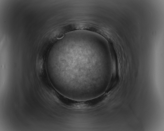 X0000086720219200704131051