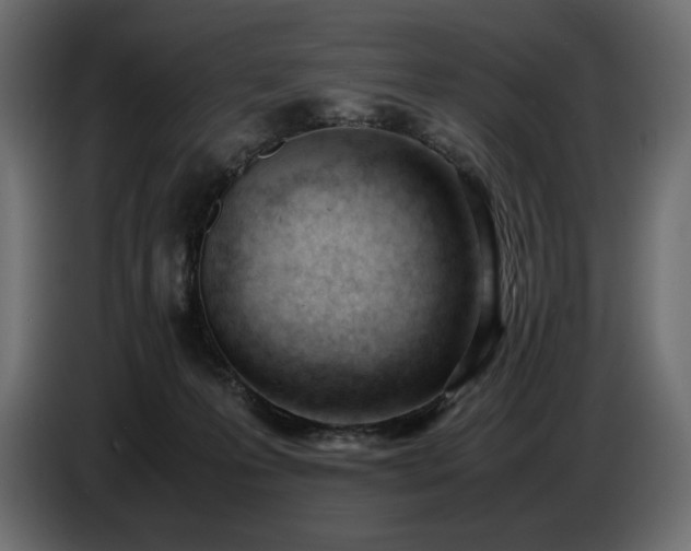 X0000086720223200704131051