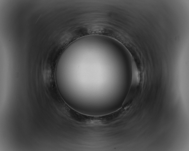 X0000086720224200704131051