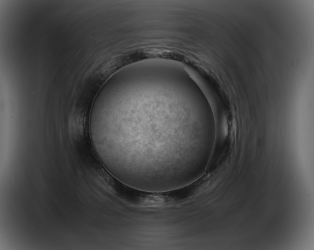 X0000086720227200704131051