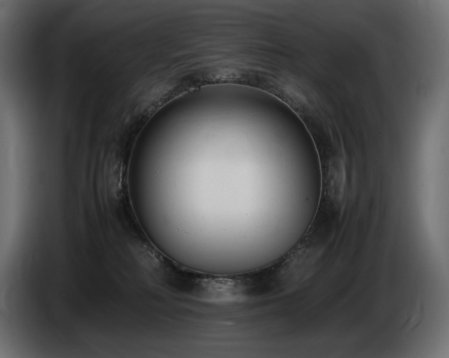 X0000086720230200704131051