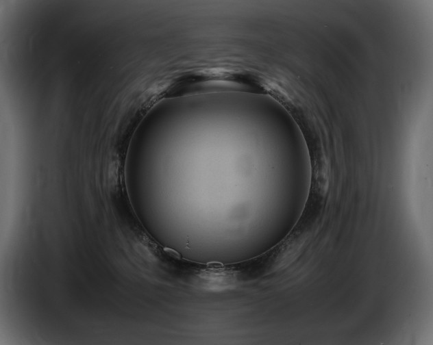 X0000086720231200704131051