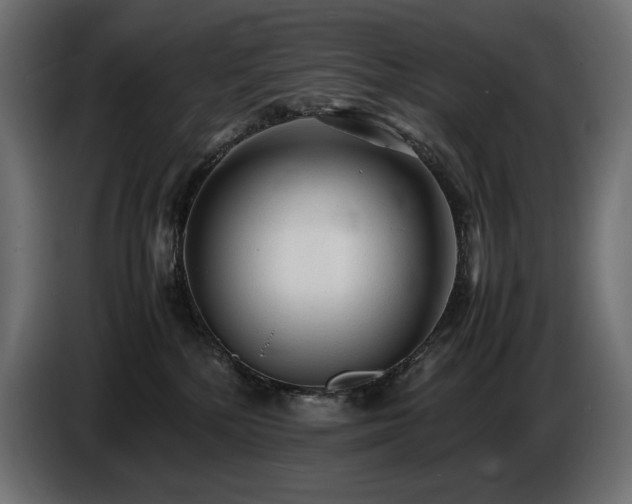 X0000086720232200704131051