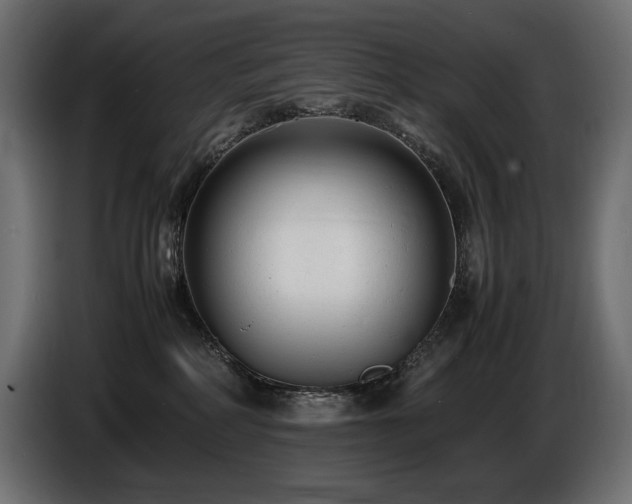 X0000086720234200704131051