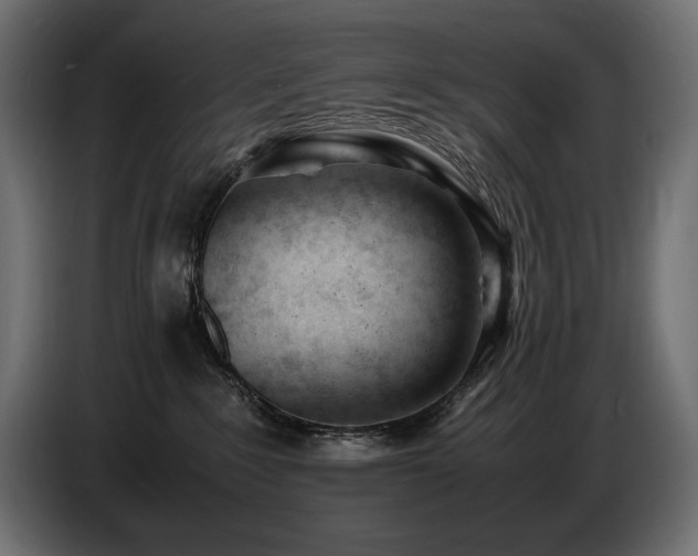X0000086720235200704131051