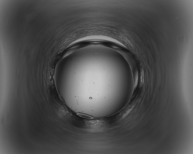 X0000086720237200704131051