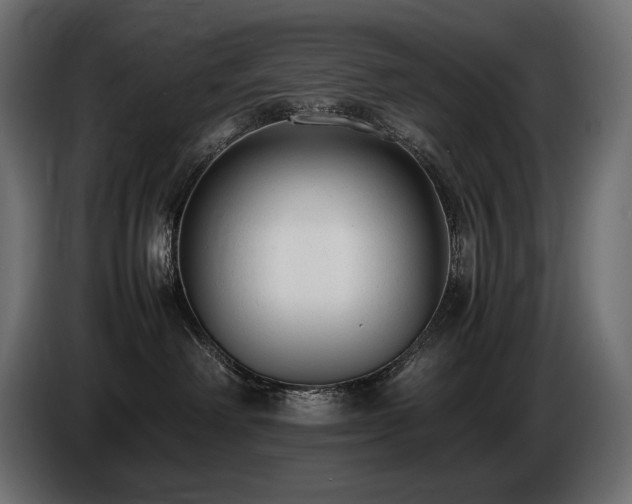 X0000086720238200704131051