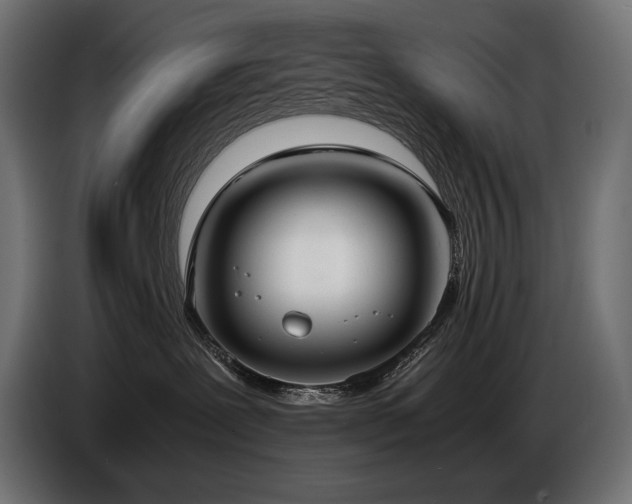 X0000086720239200704131051