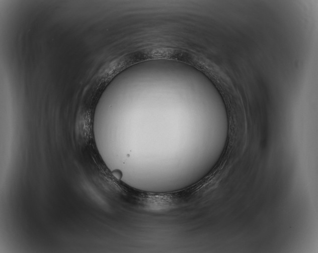 X0000086720240200704131051
