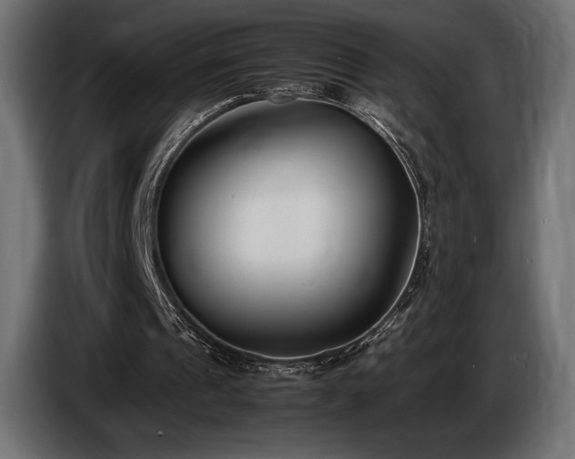 X0000086720241200704131050