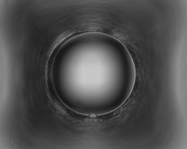 X0000086720242200704131050