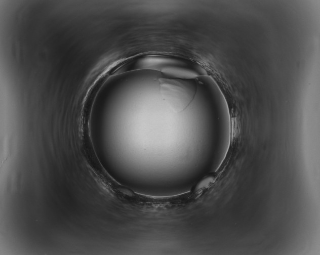 X0000086720243200704131050