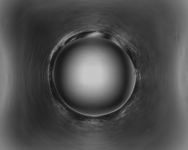 X0000086720244200704131050