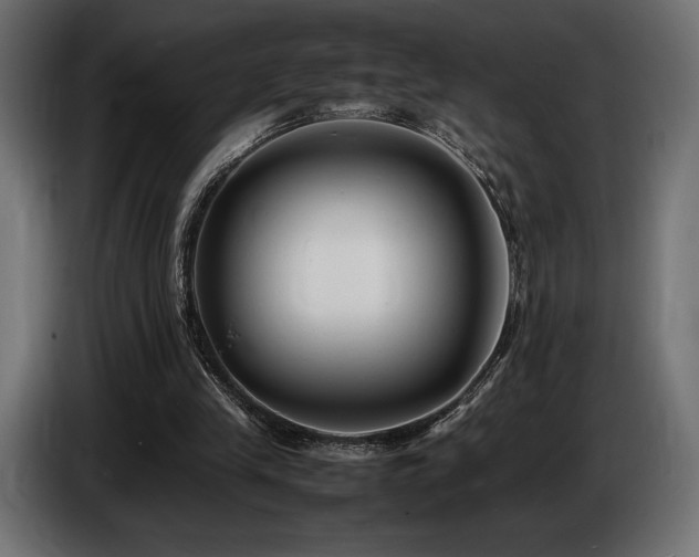X0000086720245200704131050