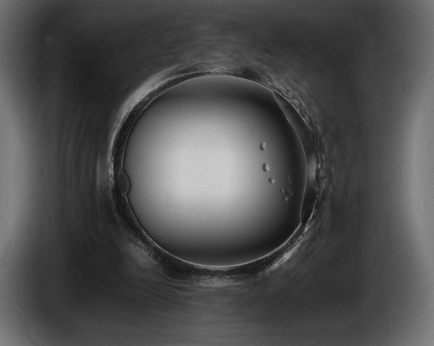 X0000086720246200704131050