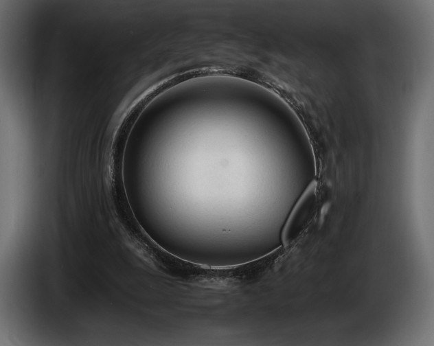 X0000086720247200704131050