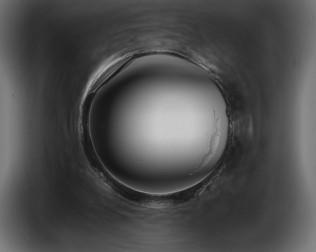 X0000086720248200704131050