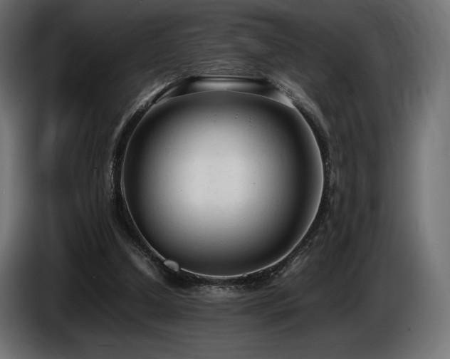 X0000086720250200704131050
