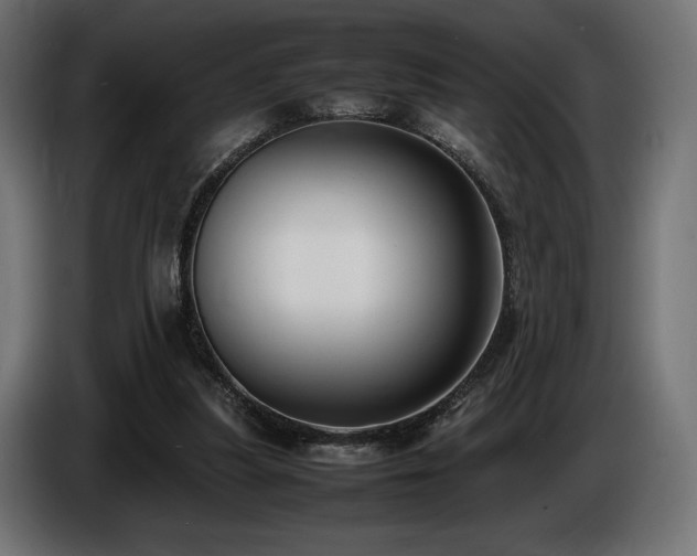 X0000086720251200704131050