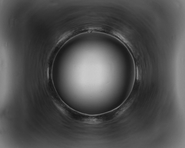 X0000086720253200704131051