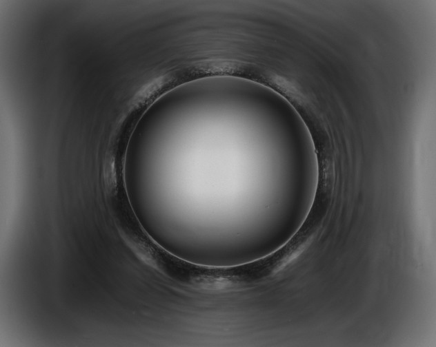 X0000086720254200704131051