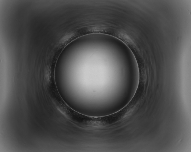X0000086720255200704131051