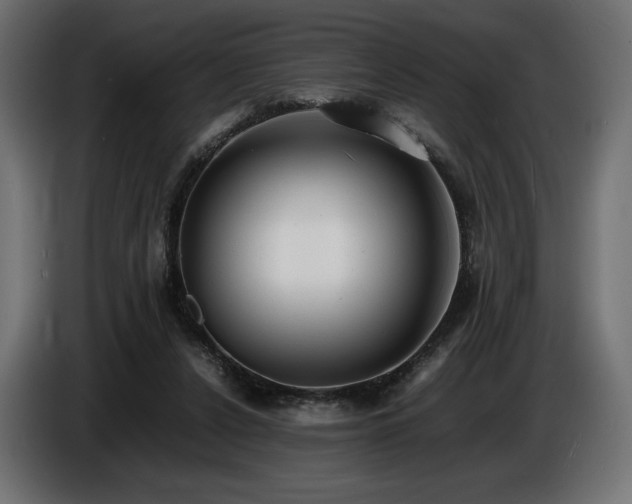 X0000086720256200704131051