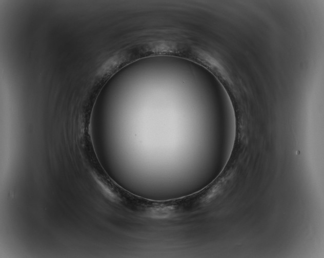 X0000086720257200704131051