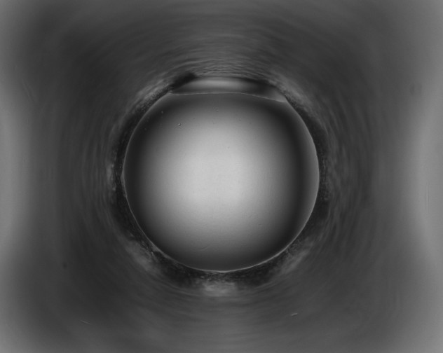 X0000086720258200704131051