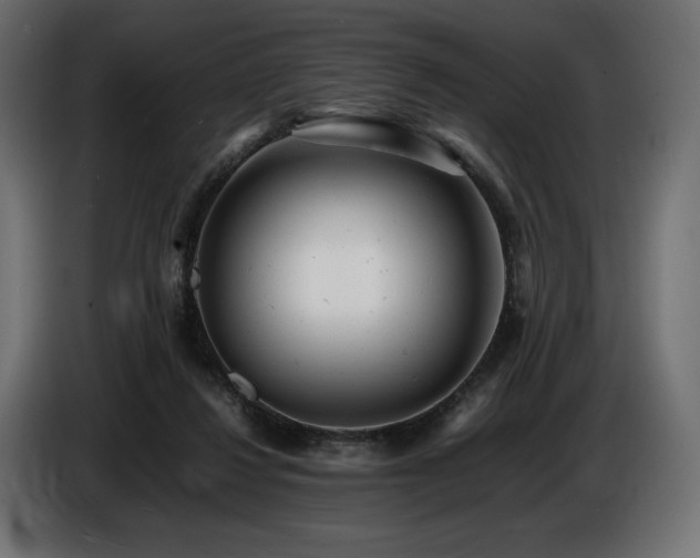 X0000086720260200704131051