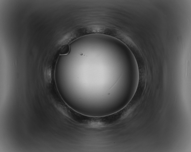 X0000086720262200704131051