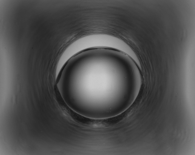 X0000086720264200704131051