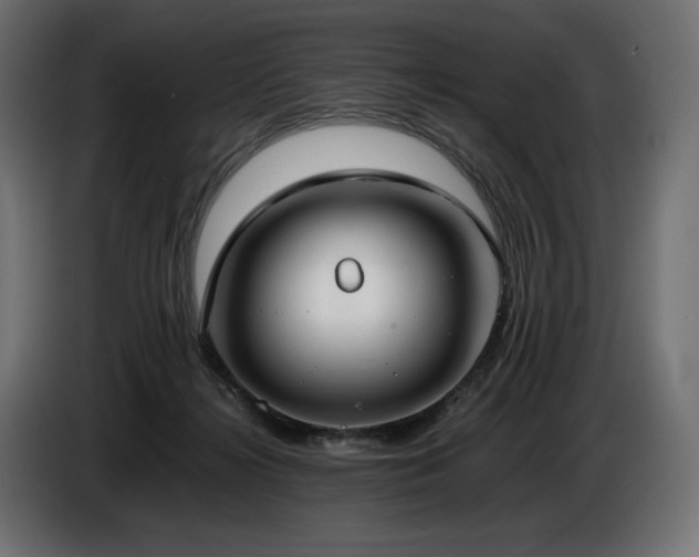 X0000086720268200704131051