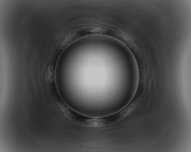 X0000086720273200704131051