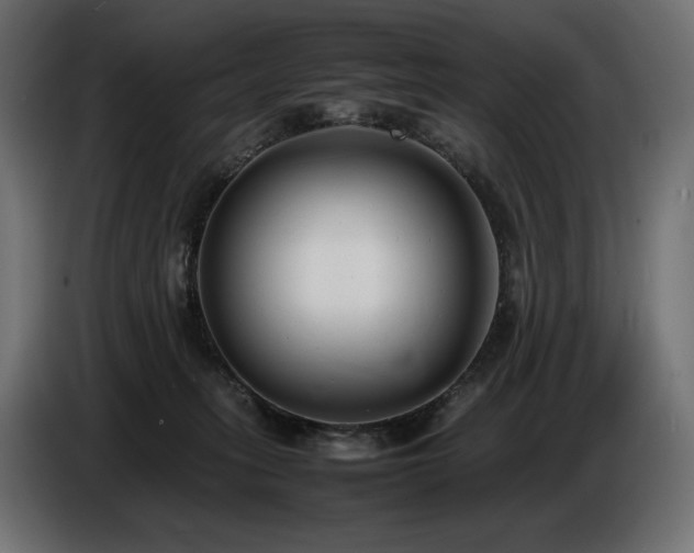 X0000086720275200704131051