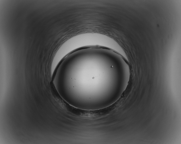 X0000086720276200704131051