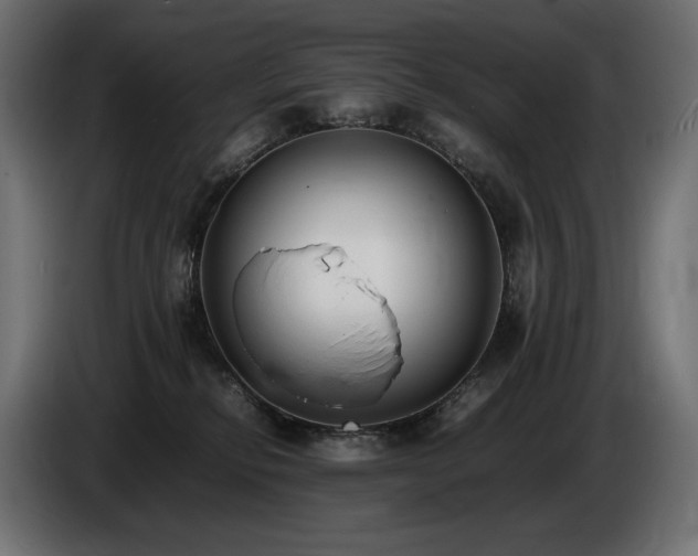 X0000086720278200704131051