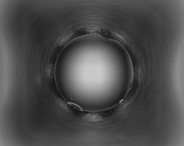 X0000086720280200704131051