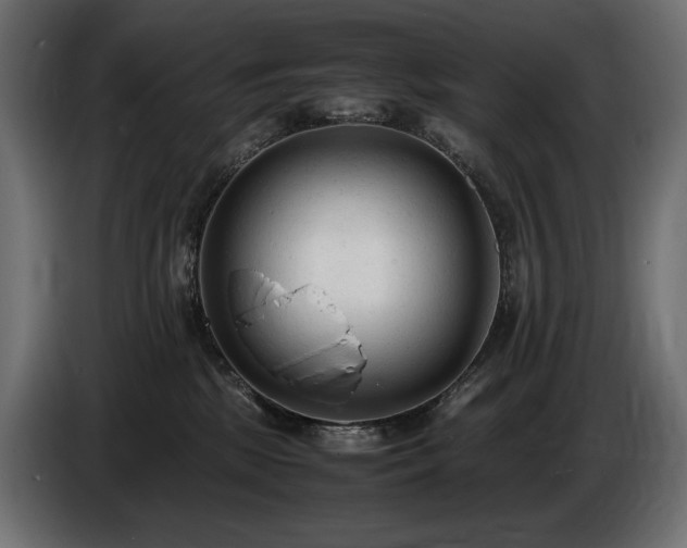 X0000086720281200704131051